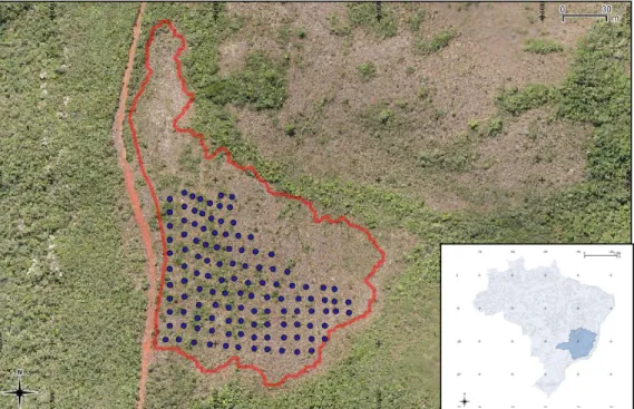 Figure  I.  Study  area  (the  red  line  represents  the  perimeter  and  blue  dots  represent  plot  corners)  located  in  Serra  da  Brigida,  Minas  Gerais,  Brazil