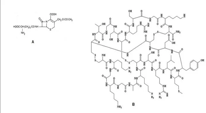 Figura 3 Estruturas moleculares (A) cefalosporina C e (B) ziconotida. 