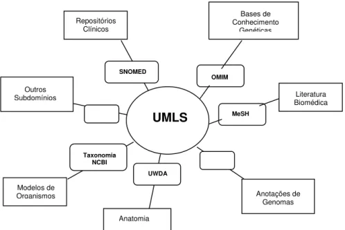 FIGURA 12- Subdomínios biomédicos cobertos pelo UMLS 