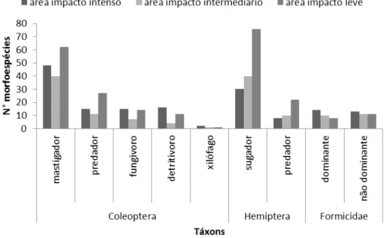 Figura 5: Número total de morfoespécies coletadas por táxon em cada área de  amostragem, Parque Estadual do Itacolomi, Ouro Preto, MG