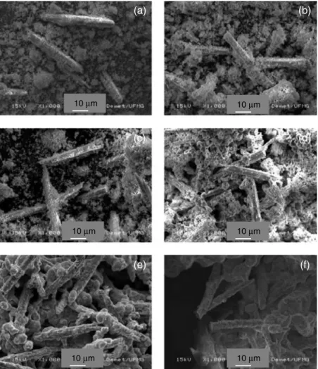 Figure 1. SEM photographs for the powders after microwave-hydrothermal processing (a) and fired at (b) 600 ° C; (c) 800 ° C;