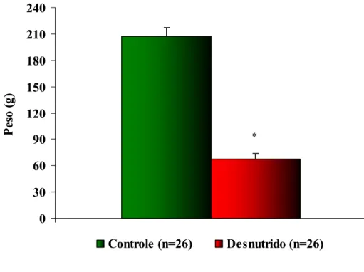 Figura 4 - Efeito da restrição protéica sobre o peso corporal dos ratos. 