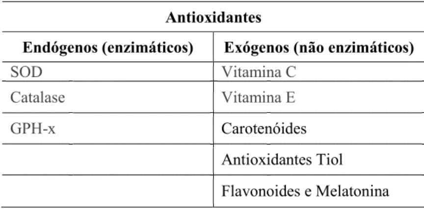 Tabela 4 – Principais grupos de antioxidantes. Adaptado (Flora, 2009)  Antioxidantes