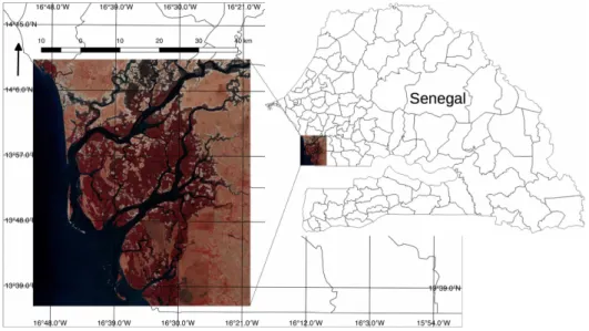 Figure 1. Saloum river delta in Senegal.