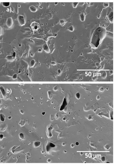 Fig. 6 - SEM images of Z w  samples sintered by: a) CS (1300 ⁰C, 12 h), and b) TSS (T1=1300 