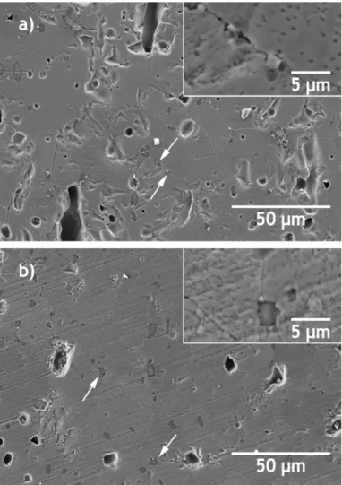 Fig.  8  -  SEM  images  of  Z w :A  samples  sintered  by:  a)  CS  (1300  ⁰C,  12  h),  and  b)  TSS  (T1=1300 ⁰C, T2=1250 ⁰C)