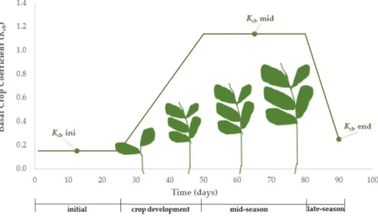 Figure 5. Basal crop coefficient (K cb ) curve (adapted from [13]).