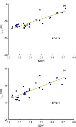 Figure 7. Scatterplots of the linear regression between the gamma VV + VH Sentinel-1A bands and the NDVI band, (a,b), respectively.