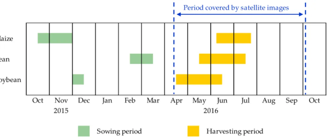 Figure 3. Crop calendar of the main crops for the Wako-Kungo irrigation perimeter.