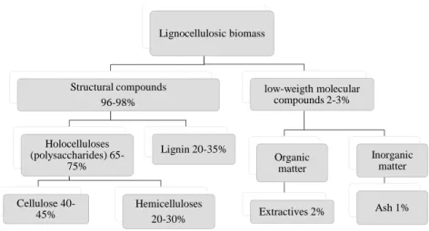 Figure 2 – Lignocellulosic biomass composition. 