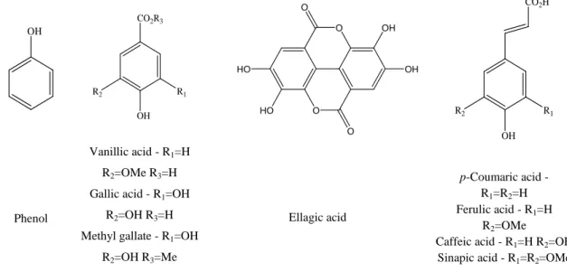 Figure 11 - Examples of simple phenols, phenolic acids and cinnamic acids present in plants
