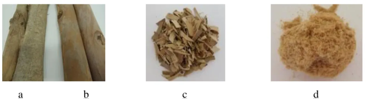 Figure 16 - Eucalyptus nitens bark, a; Eucalyptus grandis x globulus  bark, b; 2cm 2  external bark, c; 