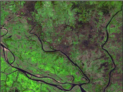 Figure 1.2: Satellite Images Showing Urban Growth of Dhaka (1972 to 2001) a. Dhaka on 28-12-1972 taken by Landsat-1-MSS 