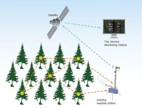 Figure 3 - Forest Fire Wireless Sensor Network [Altenergymag 2008] 