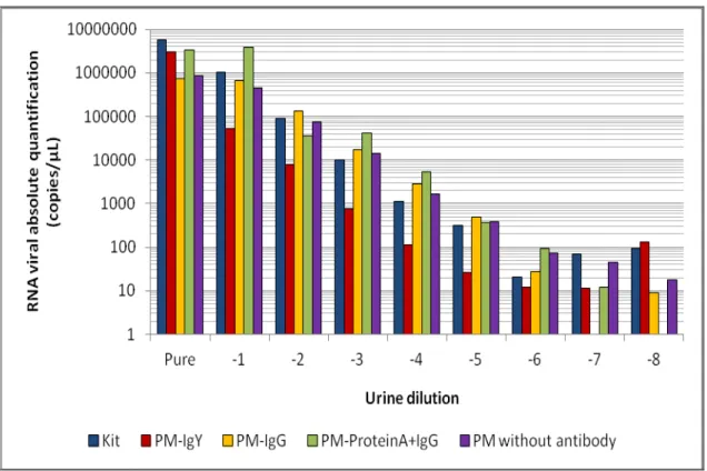 Fig.  5 .  Analytical  sensibility  of  RT-qPCR  using  RNA  extraction  by  the  conventional method (kit), PM-IgY, PM-IgG, PM-ProteinA+IgG and PM without  antibody