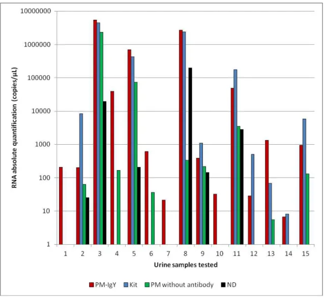 Fig.  6.  Diagnostic  sensibility  of  RT-qPCR  using  RNA  extraction  by  the  conventional method (kit), PM-IgY, PM without antibody and urine directly in the  polypropylene tube (ND)