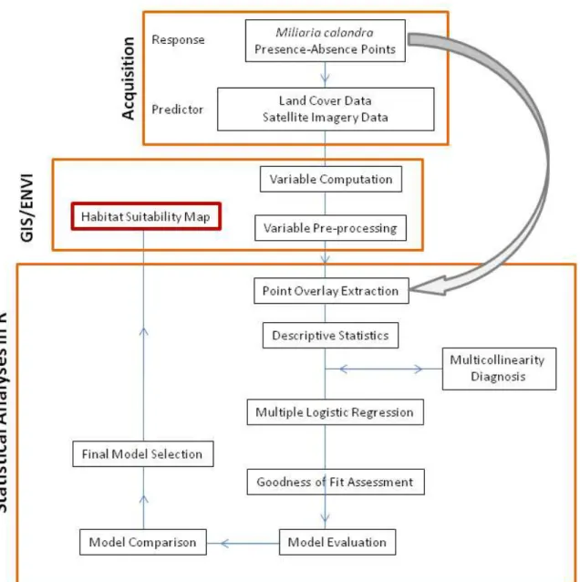 Figure 3: Thesis design flowchart 