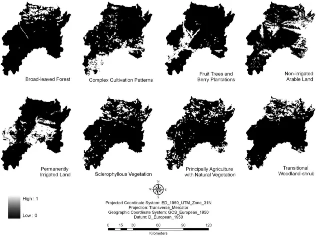 Figure 8: The eight landscape metrics that were extracted from CLC2000 