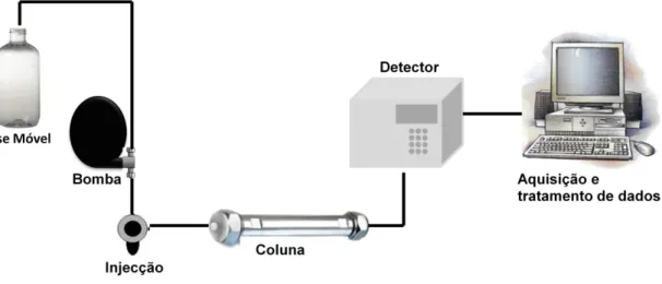 Figura 3: Esquema representativo do processo HPLC 
