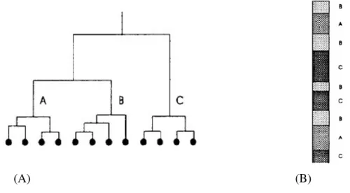 Figure 18Stages of Cluster analysis of log data: (a) dendrogram of zones according to  hierarchical clustering of zones based on their similarities; (b) classification of zones  (Adapted from Doveton, 1994) 