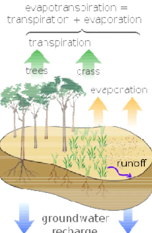 Figure 6 Conceptua