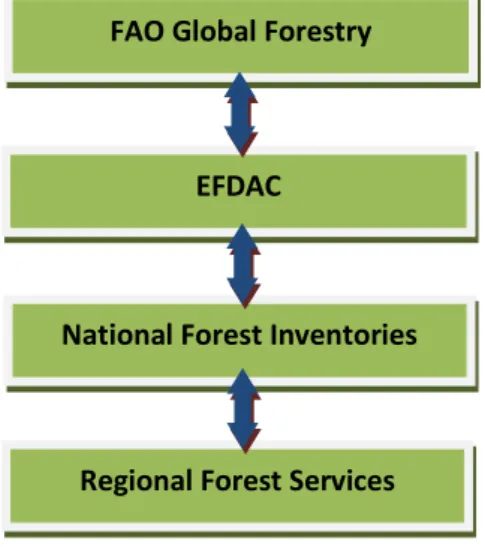 Figure 5. Harmonized assessment in a nested forest information system [JRC 2007]. 