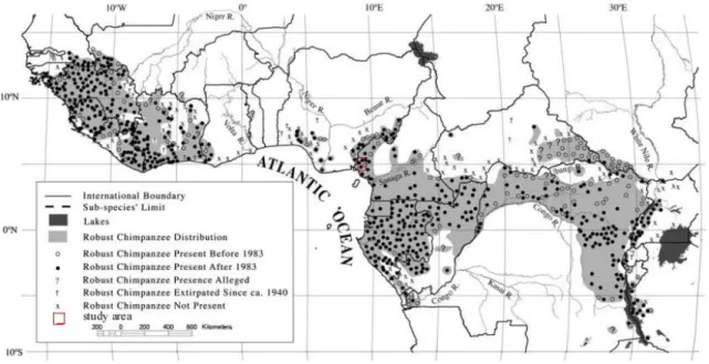 Figure 3: The spatial distribution of chimpanzees in Africa over time. 