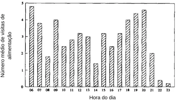 Figura  14  –  Distribuição  ao  longo  do  dia  das  visitas  de  alimentação. Fonte:  Adaptado  de  Winter  e  Hillerton, 1995