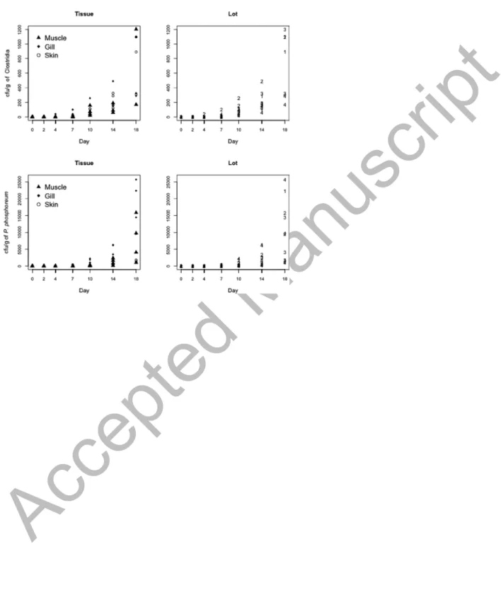Figure 3. Counts of Clostridia and P. phosphoreum according to tissue and batch. The zero rates  were 44.6% for Clostridia and 46.4% for P