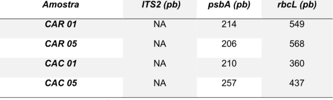 Tabela 6: Resultados obtidos no BLAST para região rbcL (03 de junho 2015). 