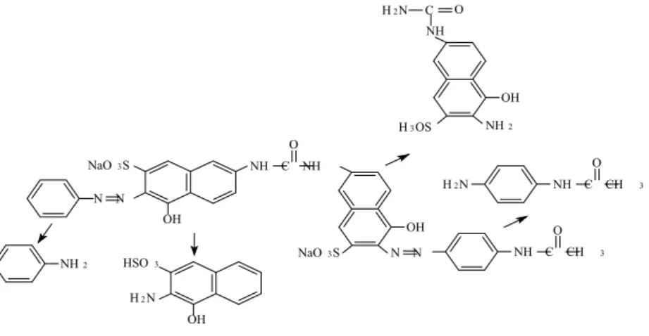 FIGURA 4.10.8.  Corante “Direct Red 23”, com as prováveis alterações estruturais após  processo de biosorção/biodegradação, após 120 horas de contato