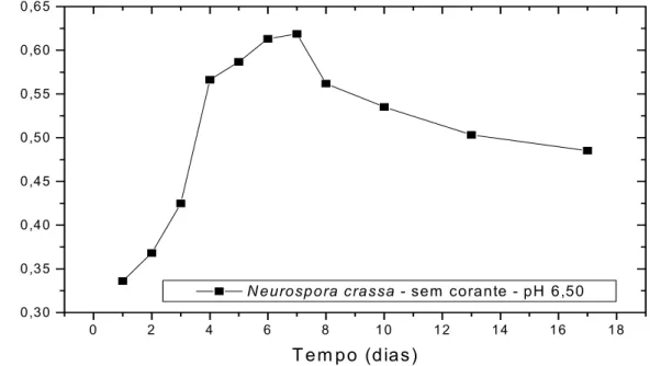 FIGURA 4.10.14. Curva de crescimento do fungo Neurospora crassa 74A, sem a adição do  corante, em pH 6,50, pelo período de 17 dias (controle)