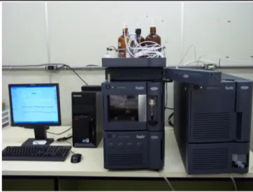 FIGURA 4.16 - Cromatógrafo líquido de alta eficiência acoplado a um detector  triplo quadrupolo da Waters ® 