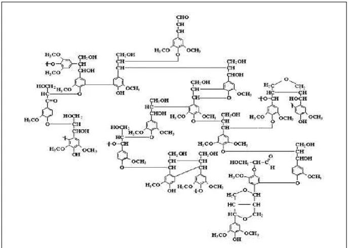Figura 10. Estrutura proposta para a macromolécula de lignina de Fagus sp. 