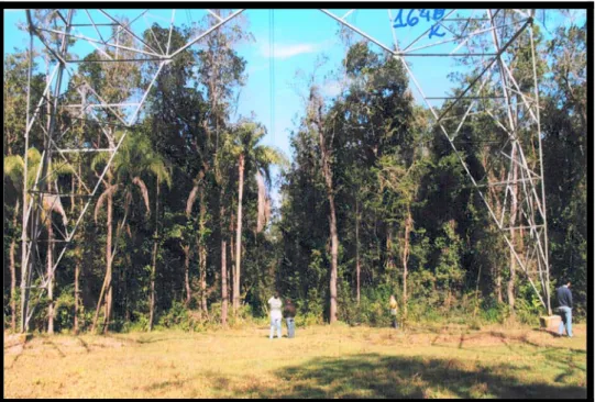 Figura 7.  Fotografia identificando a base da Torre autoportante 228/2, localizada  na fazenda Java