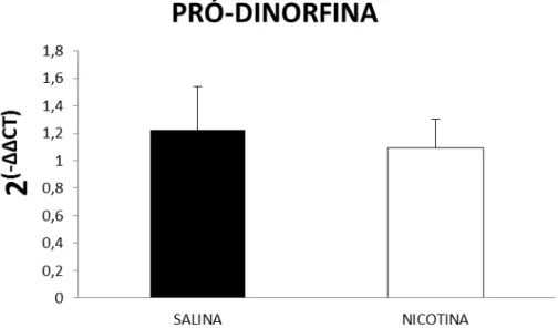 Figura 6. Análise semiquantitativa da expressão do gene PDYN em unidades arbitrárias (2 ΔΔct ), 15 dias  após  a interrupção do tratamento prolongado (10 dias) com salina ou nicotina (3mg/kg/dia s.c.) (n = 6  animais por grupo)