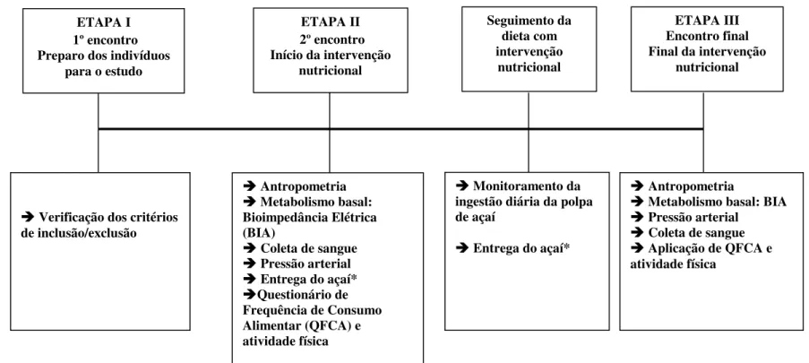 Figura 1: Diagrama de fluxo do desenho do estudo. 