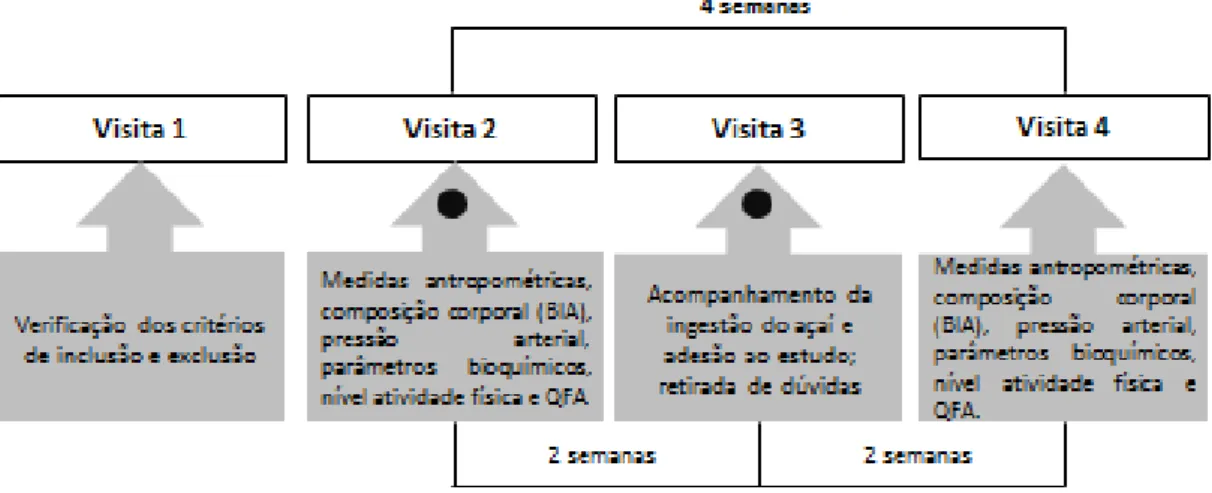 Figura 1: Ilustração esquemática do desenho do estudo. 