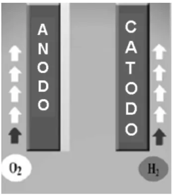 Figura 3.7. Representação do processo de polimento eletroquímico (Adaptado de: Lee, et