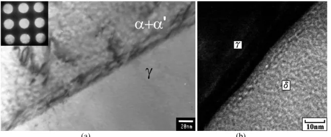 Figura 3.12 : Interface entre as fases α e γ. A fase α, ou δ  (notação utilizada por Weng et al., 2004 para  designar a fase ferrita) apresenta aspecto rugoso devido  a presença da fase α’ em ambas as ima gens