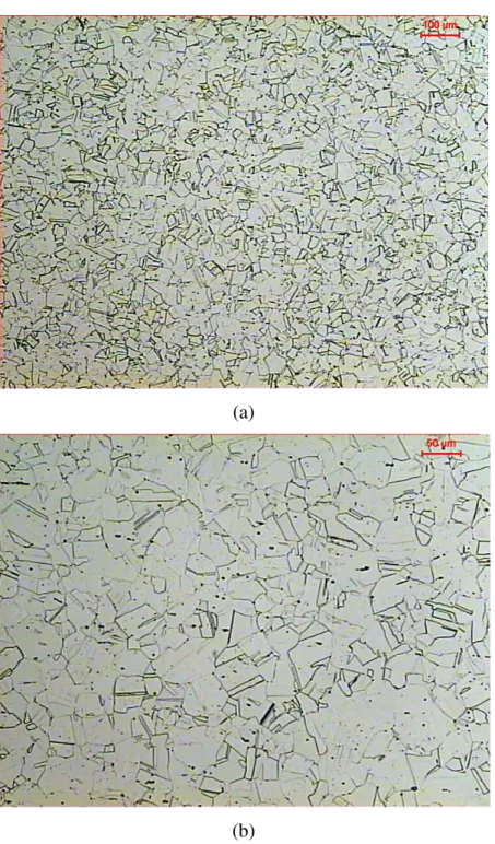 Figura 9 - Fotomicrografia do aço AISI 304 analisado; (a) 100X; (b) 200X; ataque: ácido oxálico 10%