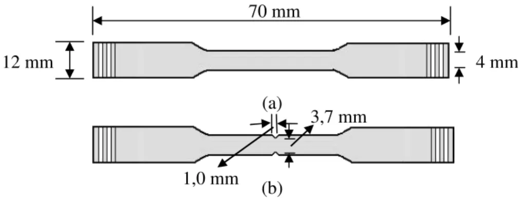 Figura 11 – Representação esquemática do CP para ensaios de carga constante do eletrodo