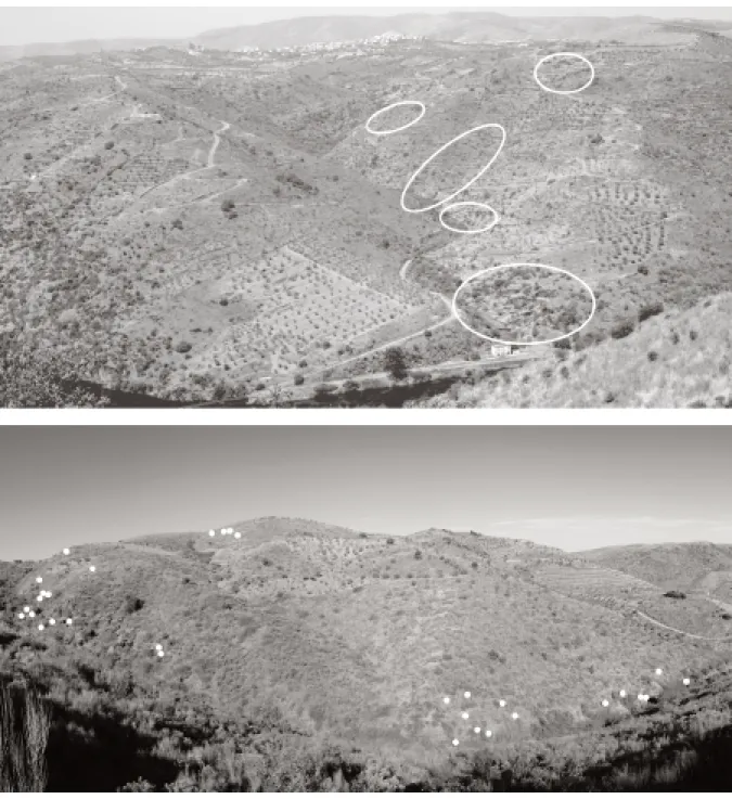 Fig. 9 – Em cima, as cinco áreas de distribuição das rochas gravadas do Vale de José Esteves