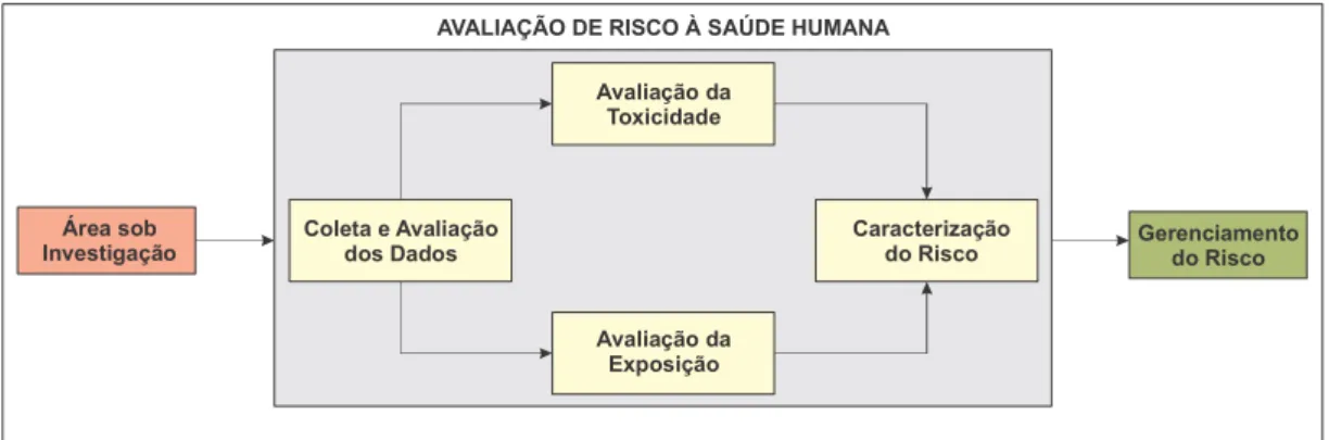 Figura 03 – Esquema da Metodologia para Avaliação de Risco à Saúde Humana 