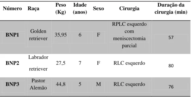 Tabela 2 – Identificação de cada animal incluído no Grupo controlo, sujeito a bloqueio do nervo periférico sem  buprenorfina (BNP); BNP1 a BNP3 – animais do grupo controlo, submetidos a bloqueio dos nervos periféricos  sem buprenorfina; RLC – Rutura do lig