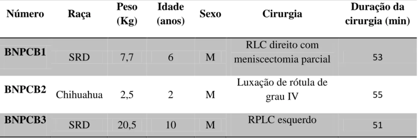 Tabela  3  –  Identificação  de  cada  animal  incluído  no  Grupo  sujeito  a  bloqueio  dos  nervos  periféricos  com  buprenorfina  (BNPCB);  BNP-CB1  a  BNP-CB3  –  animais  do  grupo  em  estudo,  submetidos  a  bloqueio  dos  nervos  periféricos  com