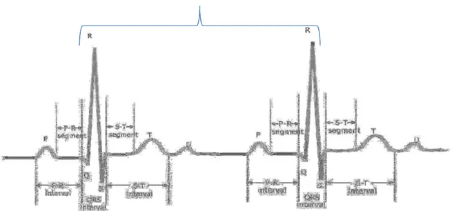 Figura 3- Exemplo de um segmento de intervalo de ondas sucessivas R-R.  