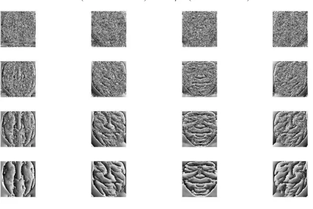 Figura 30: Imagens de fase dos coeficientes de Gabor de uma APDI obtidos utilizando diferentes escalas  (variando em colunas) e orientações (variando em linhas) 