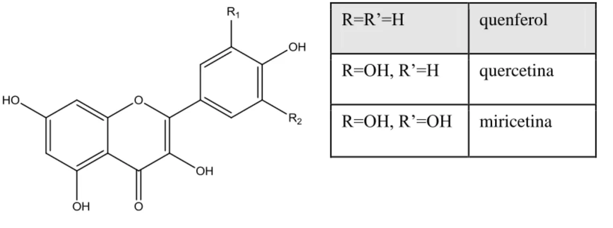 Figura 2: Estrutura química geral dos flavonóis e flavonóis mais abundantes nos vinhos 