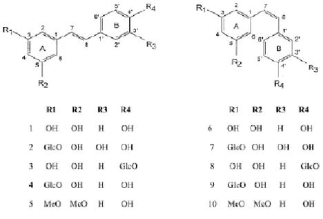 Figura 14: Estruturas químicas de estilbenos monómeros identificados no género Vitis: 1 e  6: trans- e cis-resveratrol; 2 e 7: trans- e cis-astringina; 3 e 8: trans- e cis- resveratrolósido; 